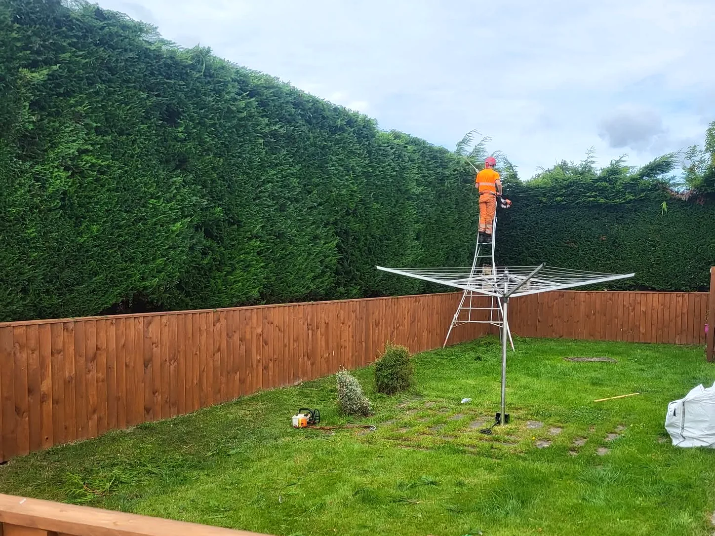 Tree surgeon carrying out an annual trim on a tall conifer boundary hedge in a Glasgow garden