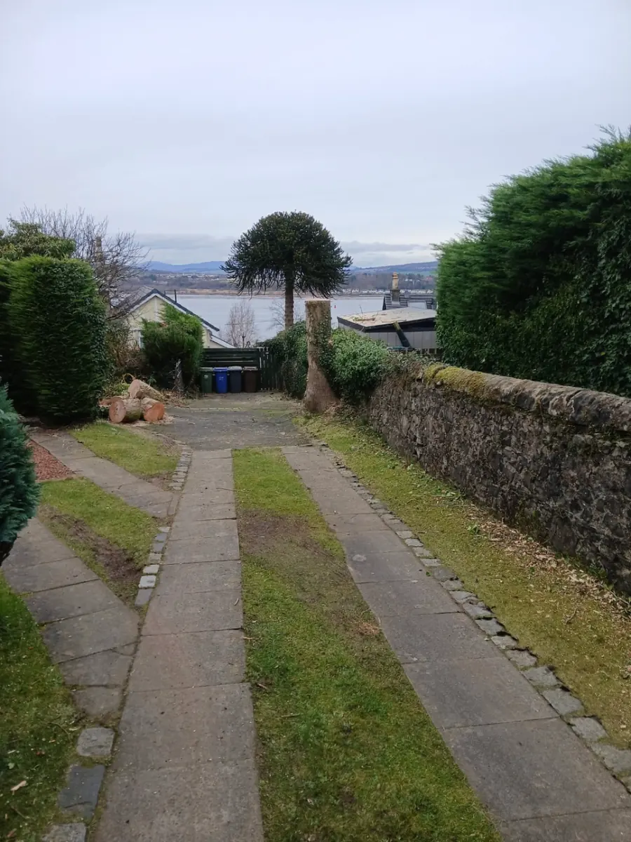 A tidy garden path leading towards the water, with the ash reduced to a short stump and logs stacked to one side