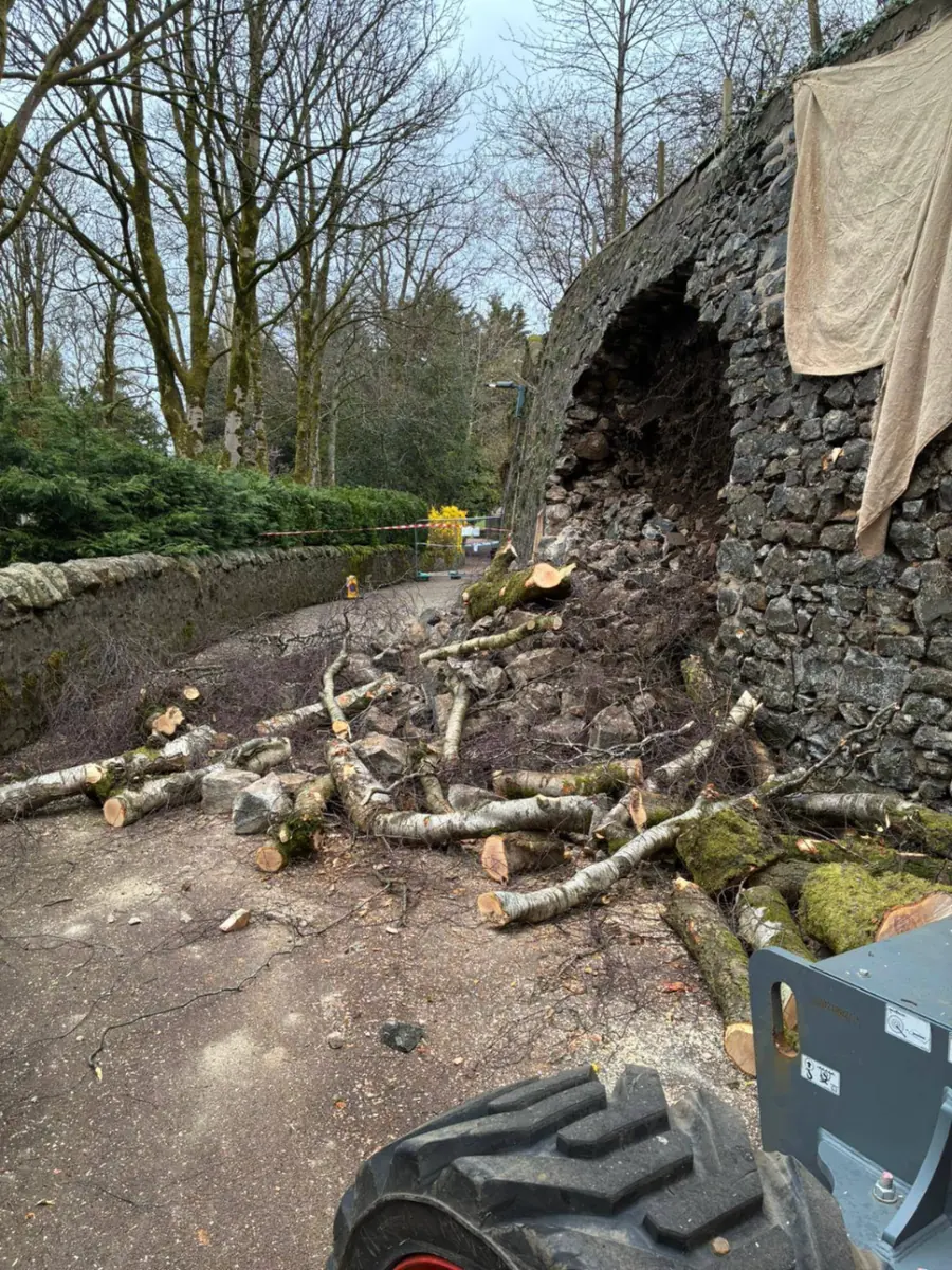A collapsed stone retaining wall with cut sections of tree trunk lying on the road below it